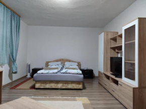 Apartment Hatinac
